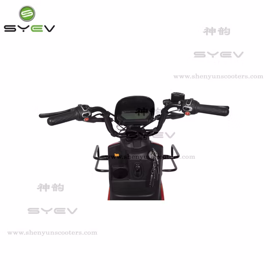 Estrarre lo scooter elettrico Ridder per la consegna di cibo con doppia batteria rimovibile