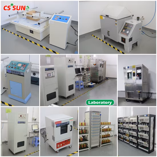 Batteria LiFePO4 da 48 V 50 Ah 100 Ah